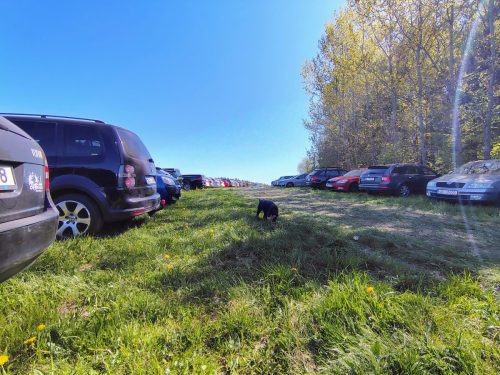 IMG 20260502 105330634 HDR AE