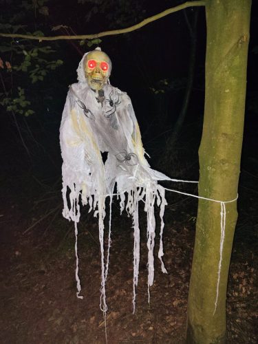 IMG 20250920 191728696 AE