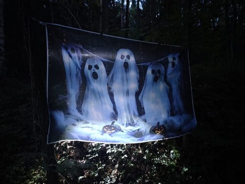 IMG 20250920 192249530 HDR