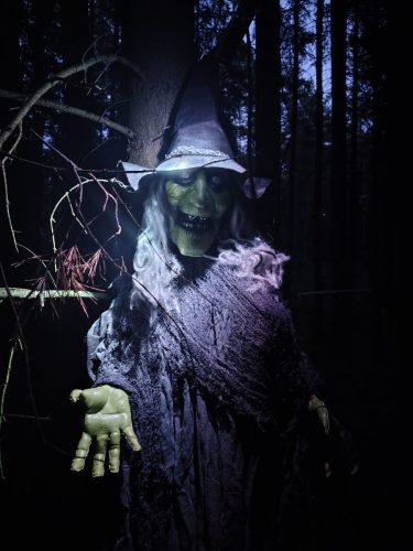 IMG 20250920 193020192 HDR