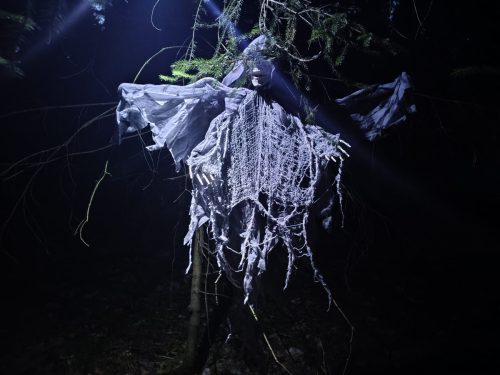 IMG 20250920 193631372 HDR