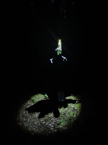 IMG 20250920 193912864 HDR