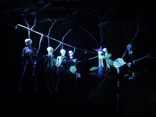 IMG 20250920 194740113 HDR