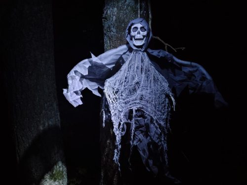 IMG 20250920 195133948 HDR