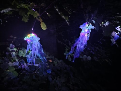 IMG 20250920 195211105 HDR