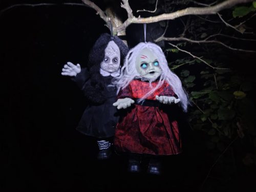 IMG 20250920 195241747 HDR