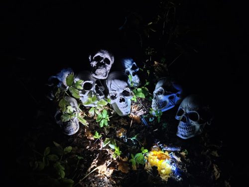 IMG 20250920 195327023 HDR